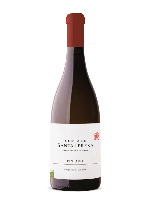 Garrafa de bottle.png